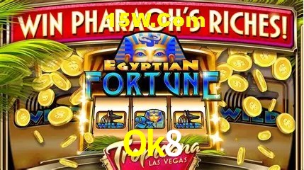 Ok8 - User Statistics